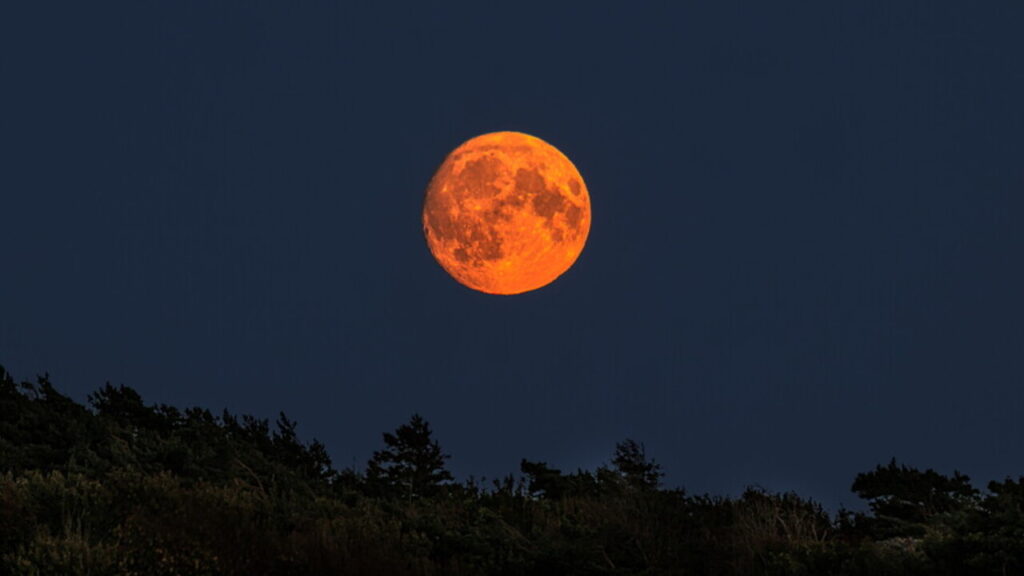 Superluna del Raccolto 2025