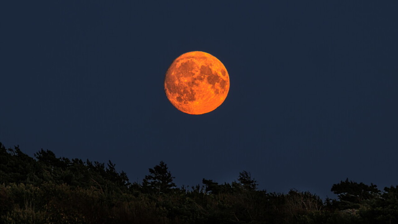 Superluna del Raccolto 2025: il cielo che ci insegna lentezza e bellezza